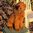 @jimmapp8257 Avatar