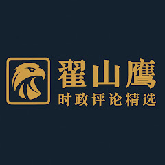 翟山鹰时政评论精选アイコン画像