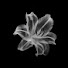 q7kISorZZaw-channel-avatar-Notes by Jimena