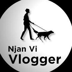 Njan VI Vlogger By Dileep K net worth