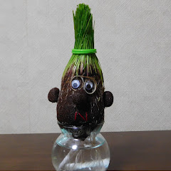 算数チャンネルアイコン画像