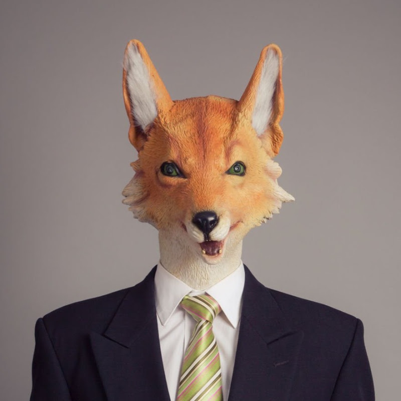 Modest Fox