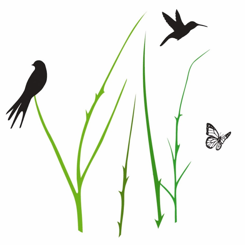 L.A.'s Untamed Wildlife!