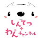 【神戸電鉄公認】しんてつ+わんチャンネル