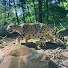 TjZiU5SHjTY-channel-avatar-Kitty