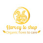 HarveytoShop logo