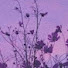 8tyMtEBIsA4-channel-avatar-emo-tions 