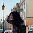 QIAWc5CK_Uo-channel-avatar-Moon Phan POV