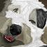 sTG4cBw86gQ-channel-avatar-Madam Bob