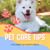 Pet Care Tips