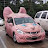 Cat Car literally