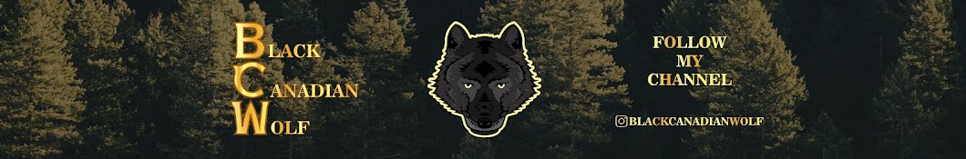 Black Canadian Wolf Avatar canale YouTube 