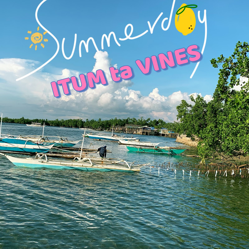 ITUM ta VINES