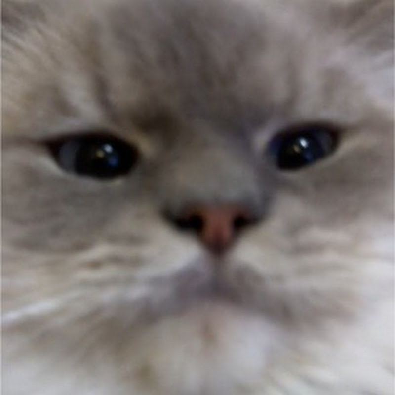 KerbalSpacey icon