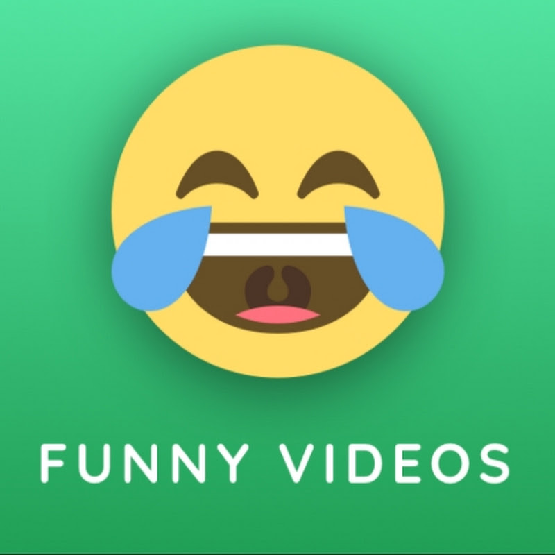 funny videos