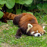 lolmIMe5dag-channel-avatar-miafeys