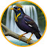 mQVajwe0rJc-channel-avatar-សារិកា​ TV