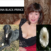 Dog Black Prince Trust/Фонд собаки Черный Принц