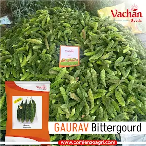 Vachan Seeds YouTube channel