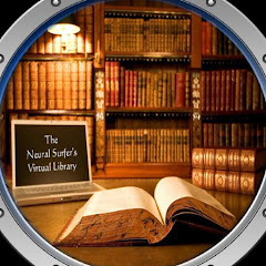 neuralsurfer net worth