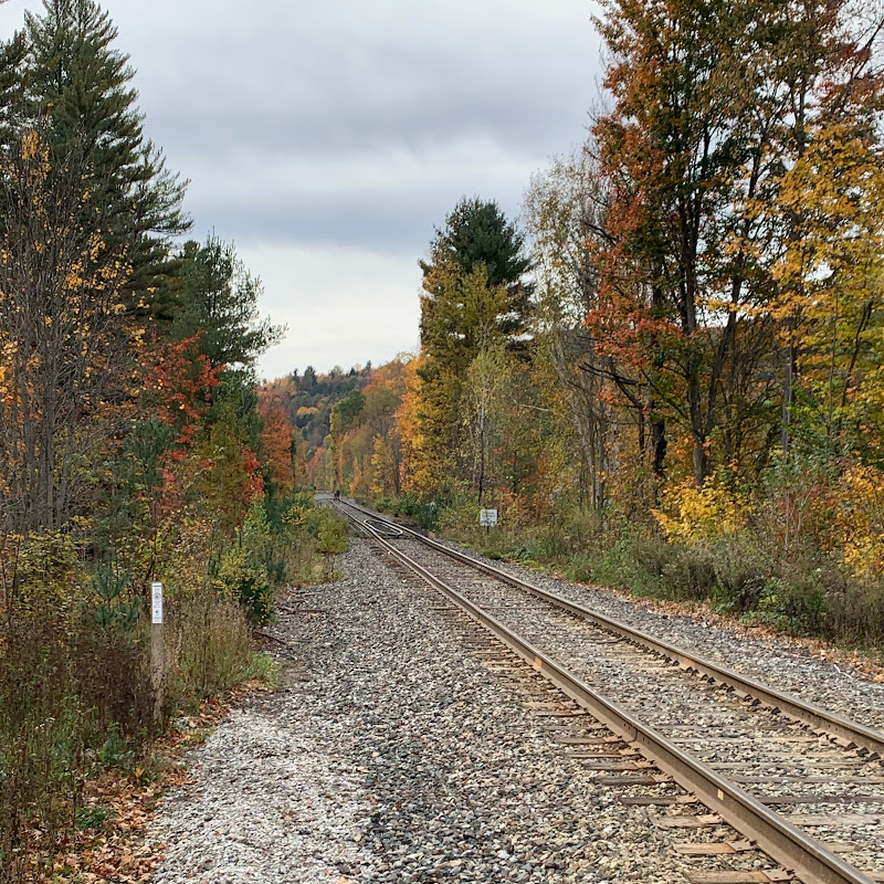 Traveling Railfan