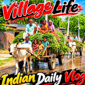 Indian daily vlog