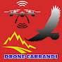 dronecarrandi logo