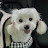 @티케아빠