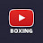 YouTube Boxing