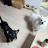 @mayojjang0506