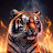 @tiger-f2o4o