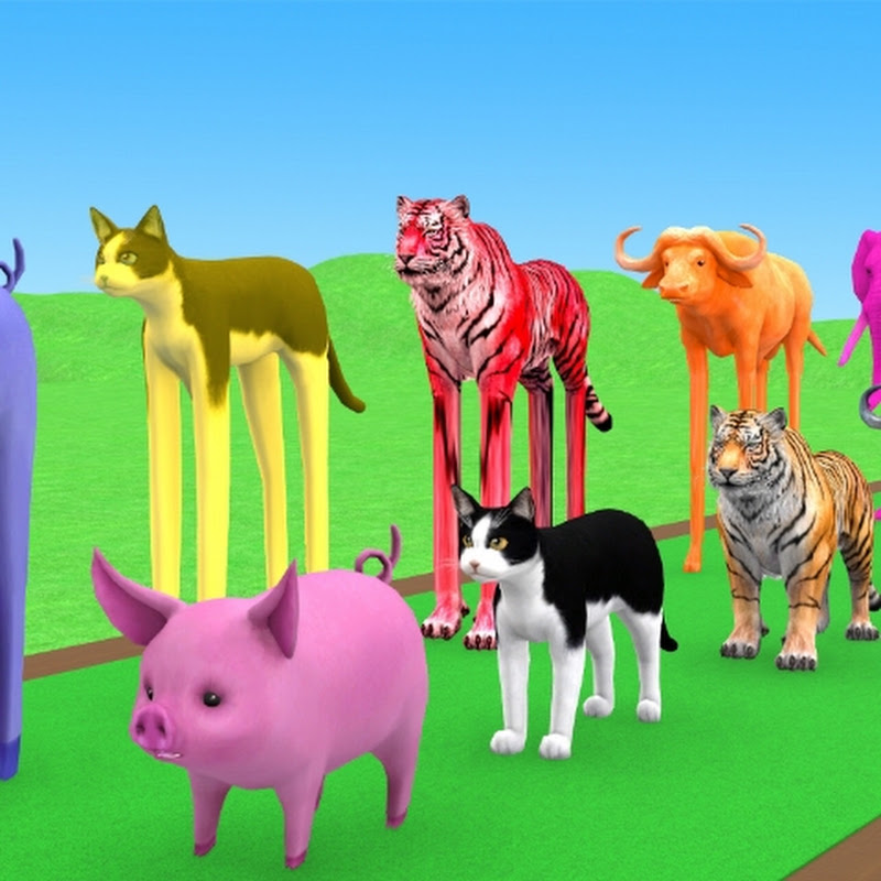 kiddie Animations