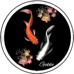 めだか屋ごっこアイコン画像