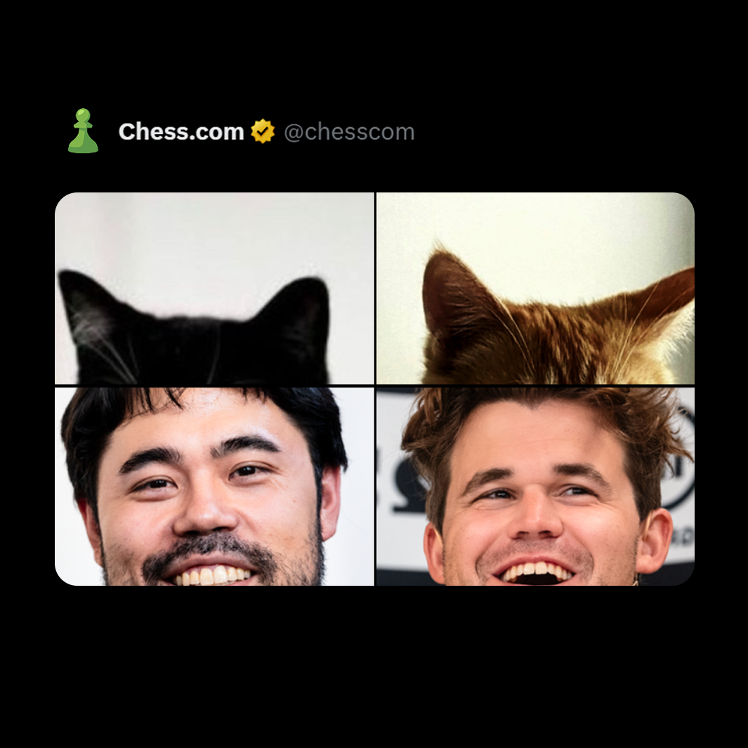 Post from Chess.com