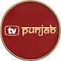 TV Punjab logo