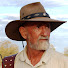 hWoUuqz7wnE-channel-avatar-Chris Pollitt's Desert Brumby Channel