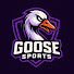 2fxCrRynJpE-channel-avatar-Goose Sports