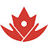 dyC_aN8WX3U-channel-avatar-Obesity Canada 