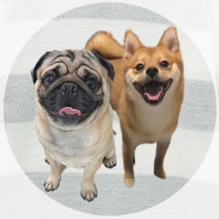 とんぺこちゃんねる