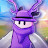 @Sub2SkyGamer