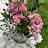 صورة @Roqea23
