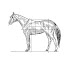dy3w0c1gnWw-channel-avatar-A Davis HORSEMANSHIP As An ART
