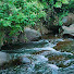UIw6mAbDTGg-channel-avatar-Wildflow Nature