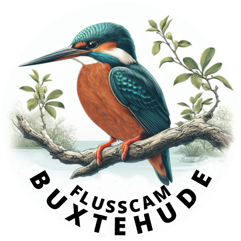 FLUSSCAM BUXTEHUDE logo