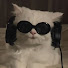 gKwPfTim3Ho-channel-avatar-zezu