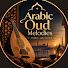 w1afgvSKSMQ-channel-avatar-Arabic Oud Melodies