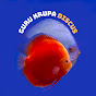 GURU KRUPA DISCUS logo