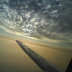 BirdEyeCreation net worth