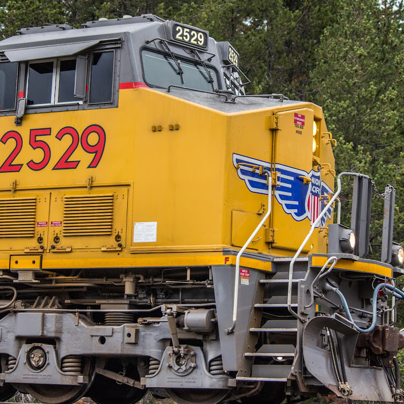 RRphotographer thumbnail