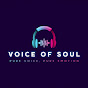 Voice of Soul logo